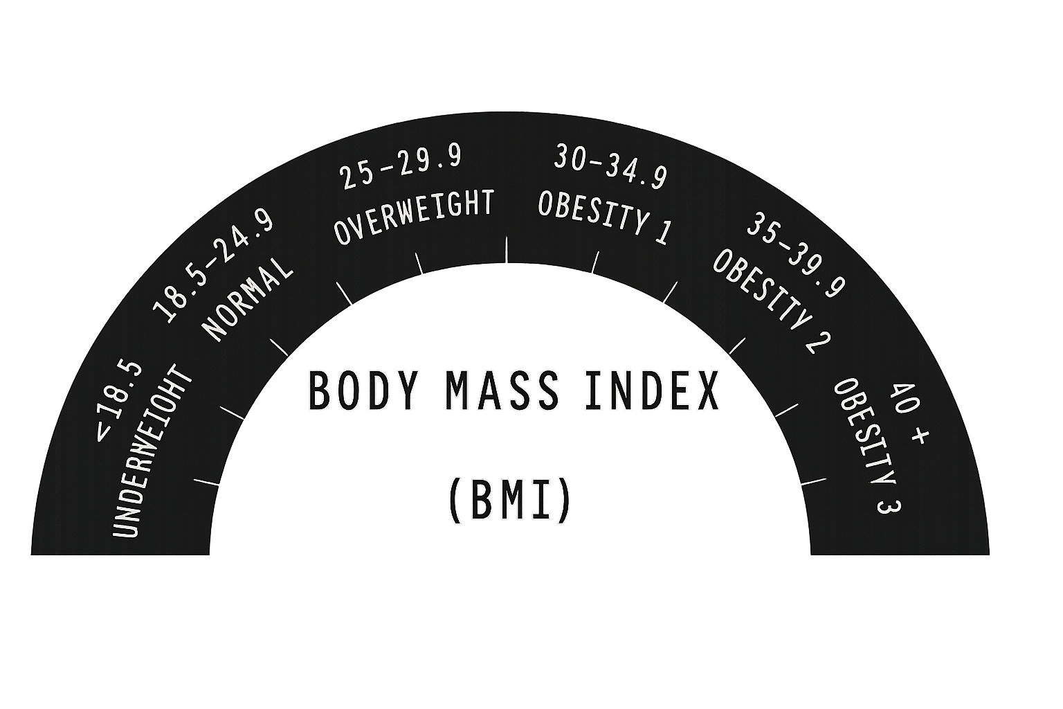 BMI Mass Index Chart